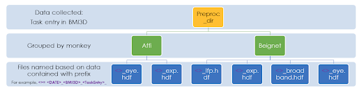 _images/preproc_org.png